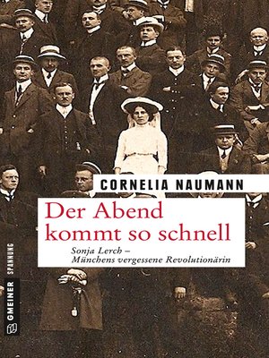 cover image of Der Abend kommt so schnell